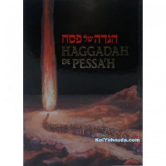 photo_2021-03-11_19-44-40