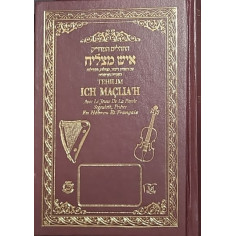 tehilim ich matslia'h avec le jeune de la parole, ségouloth, prères, en hébreu et français&nbsp;(couverture dur).